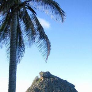 Meet your Posher, Lea