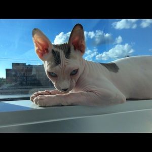 Meet your Posher, Julie