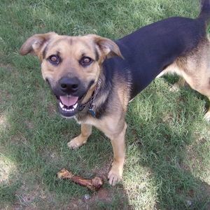 Meet your Posher, Angie