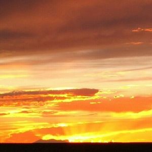 Meet your Posher, Kristina