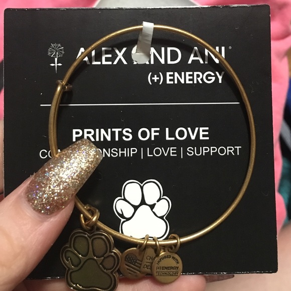 Alex and Ani bracelet