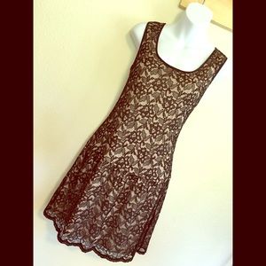 Express Lace Dress