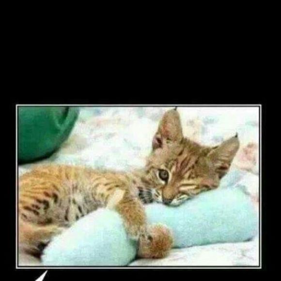 Meet your Posher, Kristy