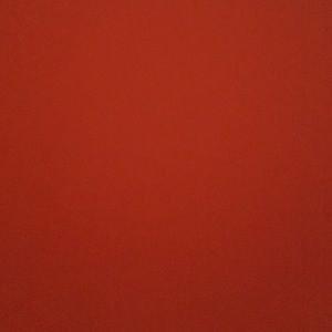 Meet your Posher, Lily