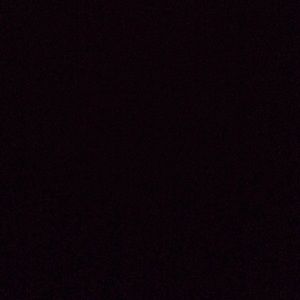 Meet your Posher, Bailey