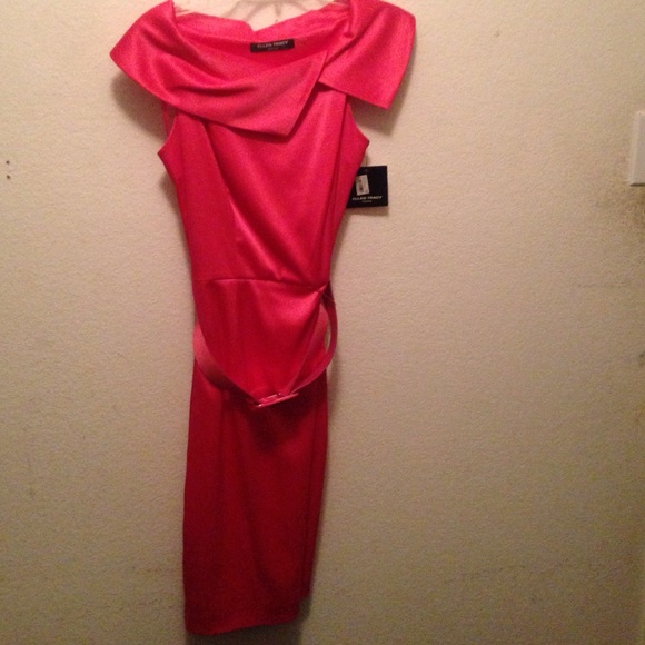 Ellen Tracy raspberry dress