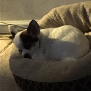 Meet your Posher, Bonnie