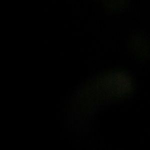 Meet your Posher, Nia