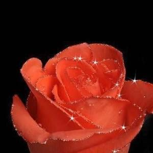 Meet your Posher, Marty