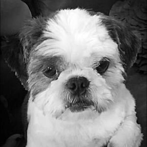 Meet your Posher, Jill