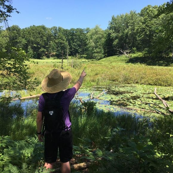 Meet your Posher, Christopher - Picture 1 of 1