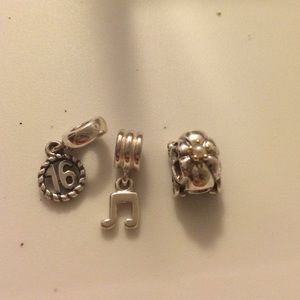 Pandora Charm Bundle