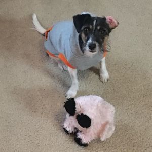 Meet your Posher, Lisha