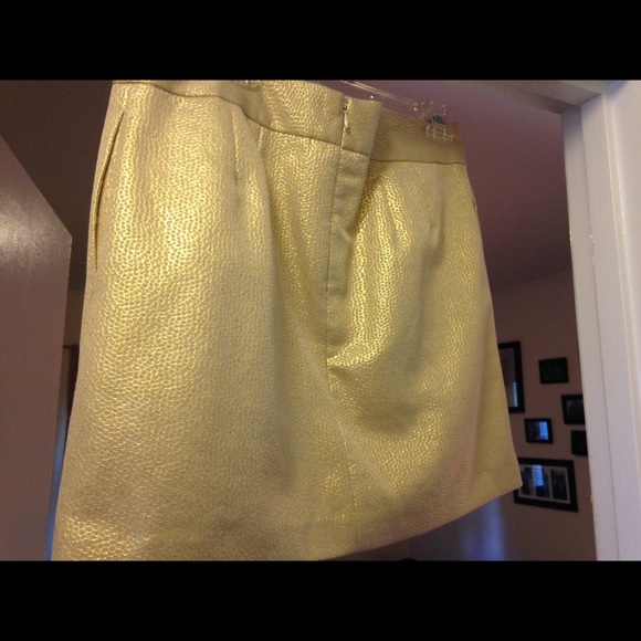 Gold Banana Republic Skirt - Picture 2 of 3