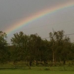 Meet your Posher, Liz