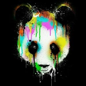 Meet your Posher, Cameron