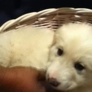 Meet your Posher, Valerie