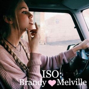 ISO a blush ollie sweater