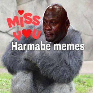 Meet your Posher, Sean