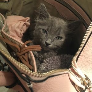 Meet your Posher, Sheila