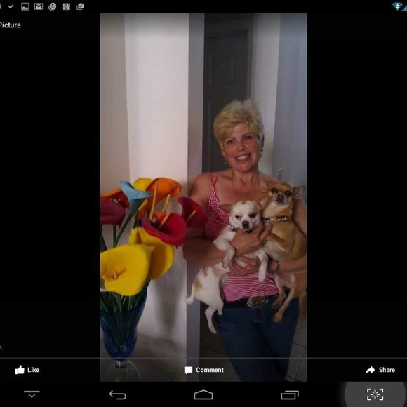 Meet your Posher, Maritza - Picture 1 of 1