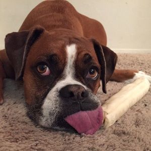 Meet your Posher, Tina