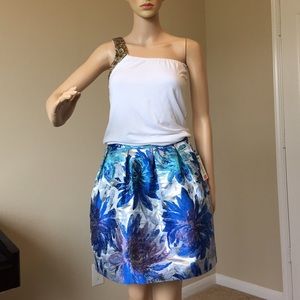 Kind of blue skirt NWT store display size 2 & 4