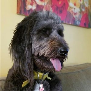 Meet your Posher, Angela