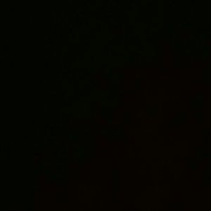 Meet your Posher, Koko