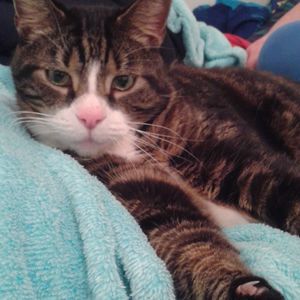 Meet your Posher, Angela