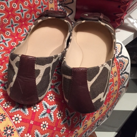 Kelley& Katie flats - Picture 3 of 4