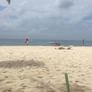 Meet your Posher, Lee