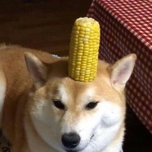 Meet your Posher, Beast