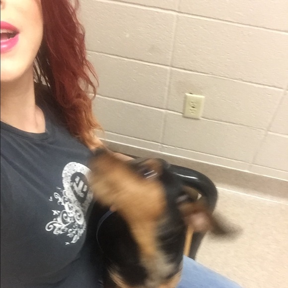 Meet your Posher, Heather - Picture 4 of 4