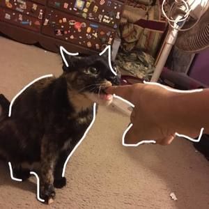 Meet your Posher, Kayla