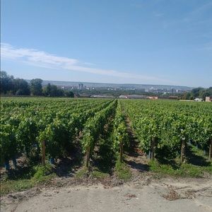 Meet your Posher, Kristin