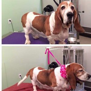 Meet your Posher, Sue