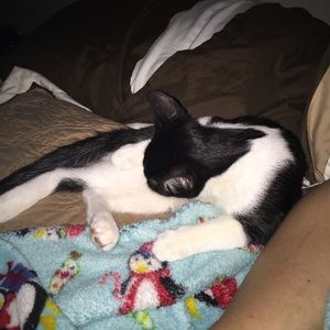 Meet your Posher, Anna