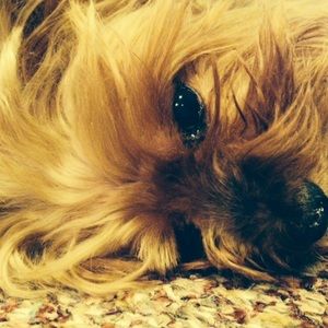 Meet your Posher, Anna