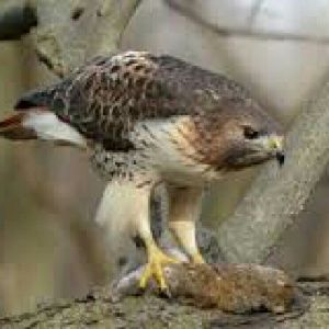 Meet your Posher, Becca