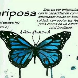 Meet your Posher, Erika