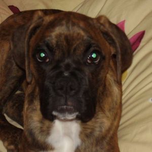 Meet your Posher, Janet