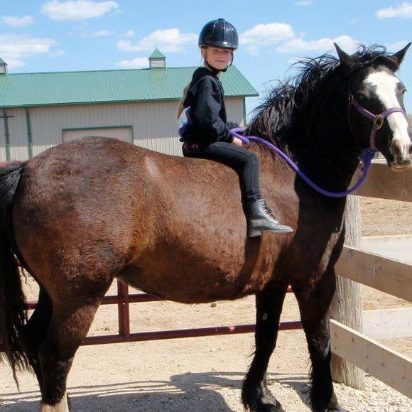 Meet your Posher, Kit - Picture 1 of 1