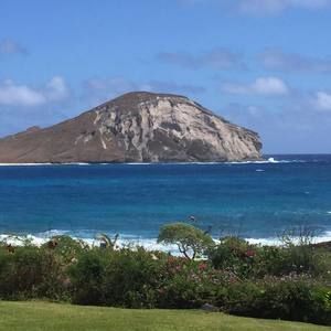 Meet your Posher, Kristin