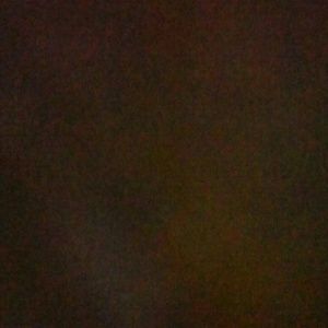 Meet your Posher, Tasha