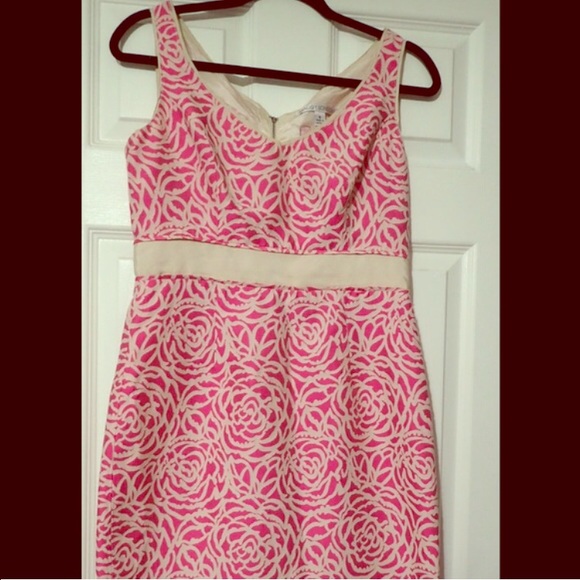 Maggy London Pink & Cream Dress (Sz 6)