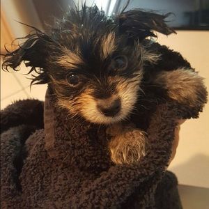 Meet your Posher, Beatriz