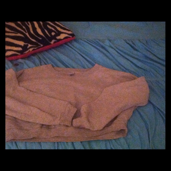 American apparel cropped sweatshirt