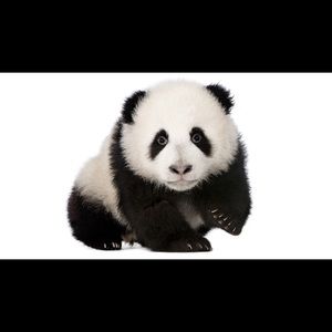 Meet your Posher, Bree