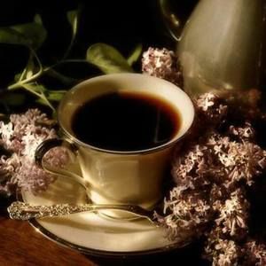 Meet your Posher, Lillian